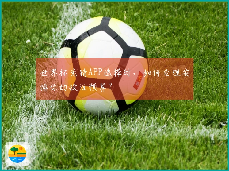 世界杯竞猜APP选择时，如何合理安排你的投注预算？