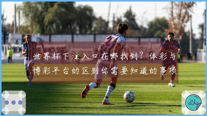 世界杯下注入口在哪找到？体彩与博彩平台的区别你需要知道的事项