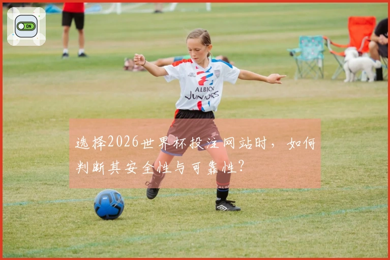 选择2026世界杯投注网站时，如何判断其安全性与可靠性？