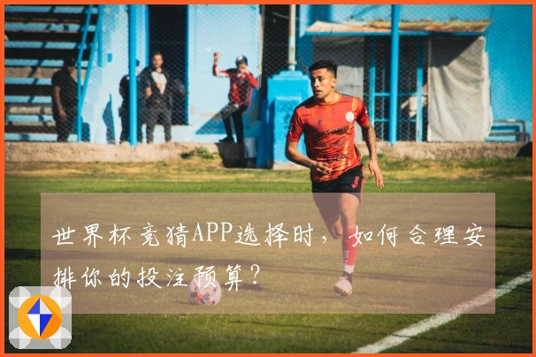 世界杯竞猜APP选择时，如何合理安排你的投注预算？