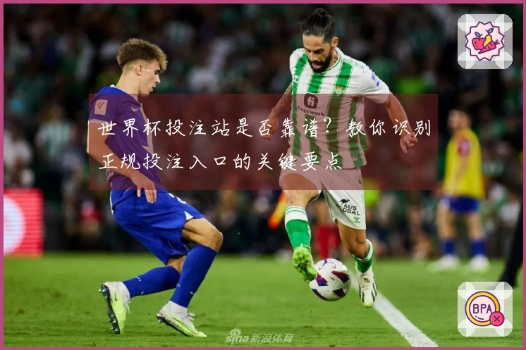 世界杯投注站是否靠谱？教你识别正规投注入口的关键要点