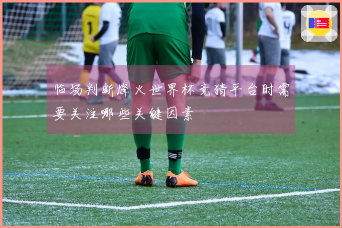 临场判断烽火世界杯竞猜平台时需要关注哪些关键因素